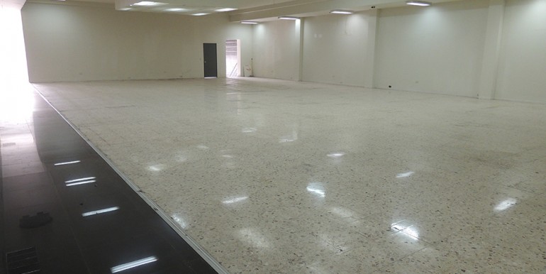 inmobiliaria-rodriguez-de-luna-local-comercial-ave-pablo-a-de-la-garza-13