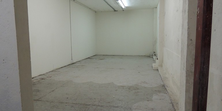 inmobiliaria-rodriguez-de-luna-local-comercial-ave-pablo-a-de-la-garza-15